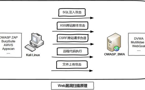 如何有效进行服务器漏洞扫描以确保网络安全？