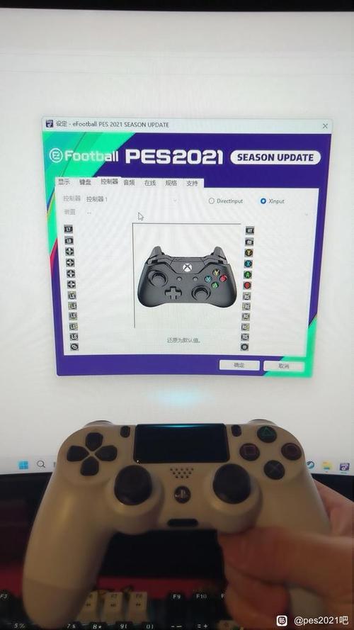 私人服务器为什么用不了手柄