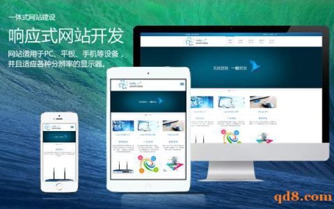 福州与哈尔滨网站建设，网络服务领域有何不同？