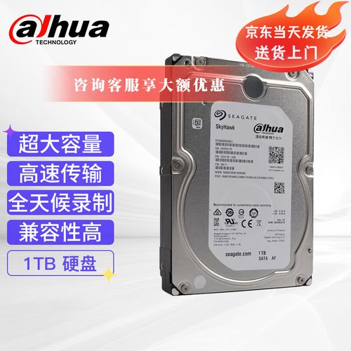 大华evs50存储服务器支持什么硬盘