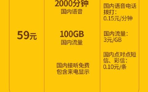 服务器托管服务中的语音通话费用是如何计算的，以及它们的标准费率是多少？