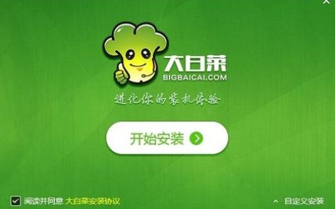如何安全地下载大白菜软件？