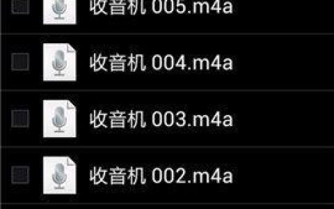 如何有效管理并扩展我的服务以支持下载录音文件？