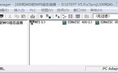 如何有效配置和利用MPI参数服务器以优化Platform MPI性能？