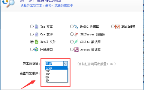 如何自定义默认网络和导入导出设置以优化我的工作流程？