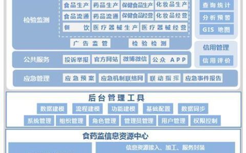 如何有效构建和实施一个服务监管系统？