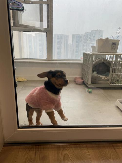 陈二狗服务器为什么不进去
