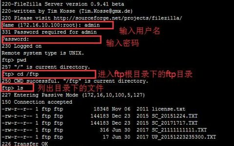如何在命令行中安装FTP服务器？