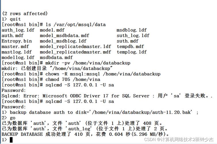 mssql数据库文件格式_文件格式介绍