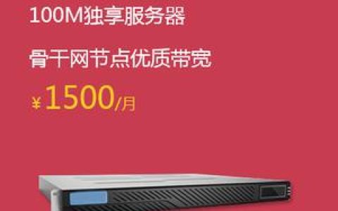 百兆独享服务器租用，了解这一概念意味着什么？