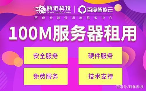 百兆独享服务器租用什么意思呀