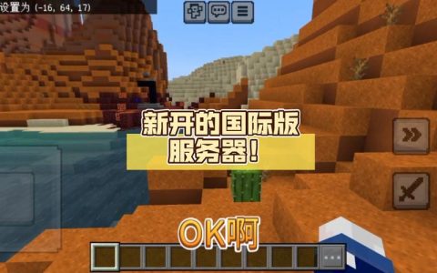 探索无界限，国际版无规则服务器究竟意味着什么？