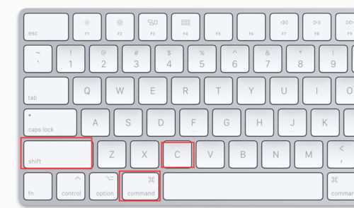 格式刷功能键在哪里