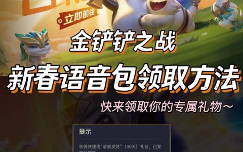 金铲铲语音服务器连接失败的原因是什么？