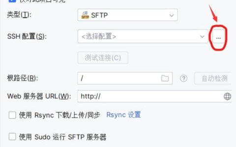 如何有效追踪和管理服务器的远程连接活动？