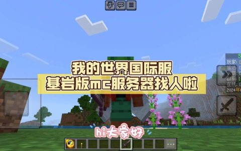 为何体验MC国际服服务器时遭遇卡顿现象？