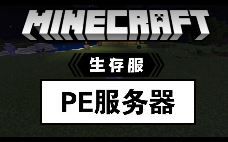 ps4我的世界服务器是什么
