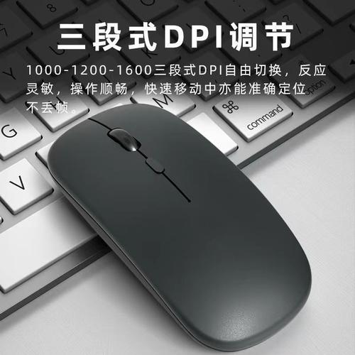 电脑的鼠标在哪里找