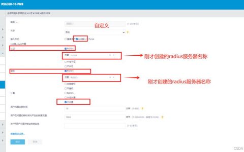 RADIUS认证服务器的作用是什么？