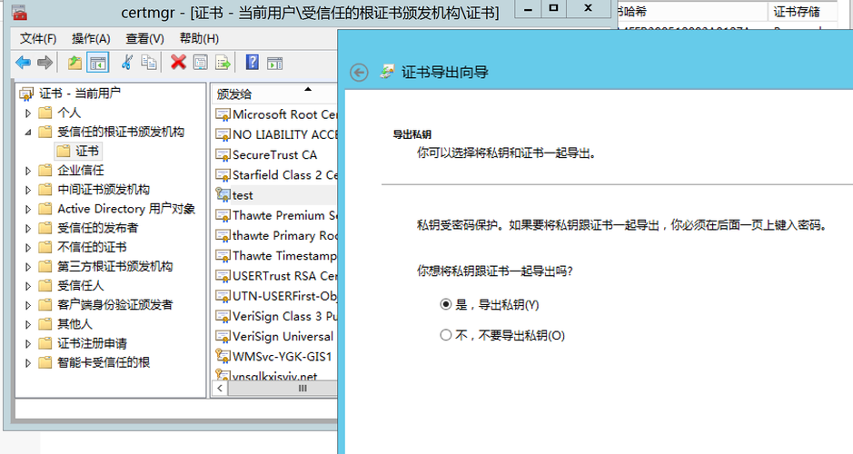 服务器web_WEB服务器证书导入