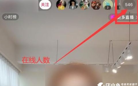 如何有效查询FTP服务器的在线人数及直播播放的实时观众量？