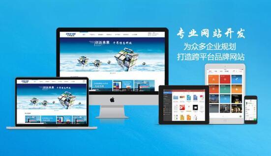 门厂家网站建设_厂家维护