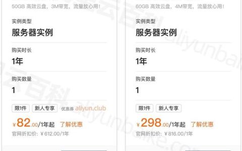 如何监控和管理服务器租用的日费用？