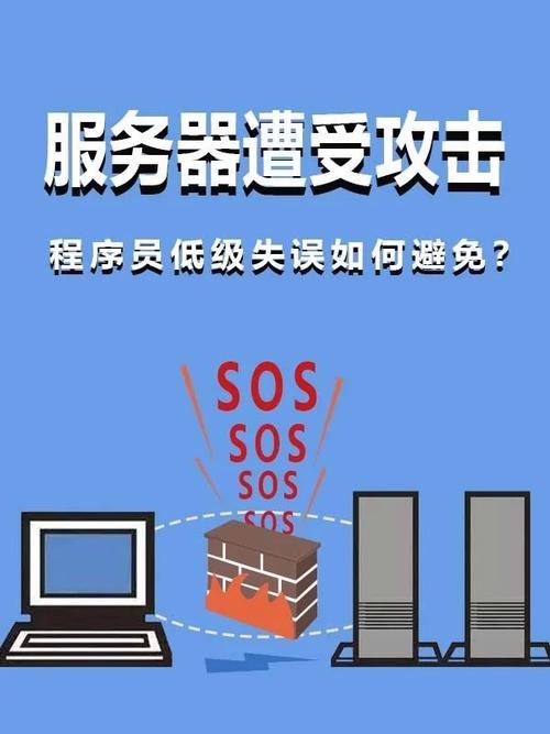 程序员买服务器有什么用