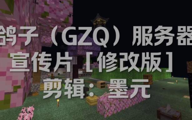 我的世界鸽子的服务器号是什么