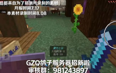 如何找到我的世界中鸽子的服务器号？