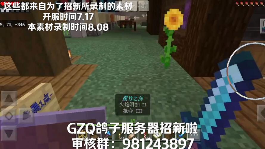 我的世界鸽子的服务器号是什么