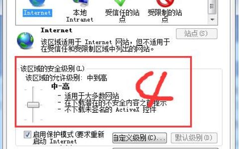 如何查找和调整我的互联网安全性设置？