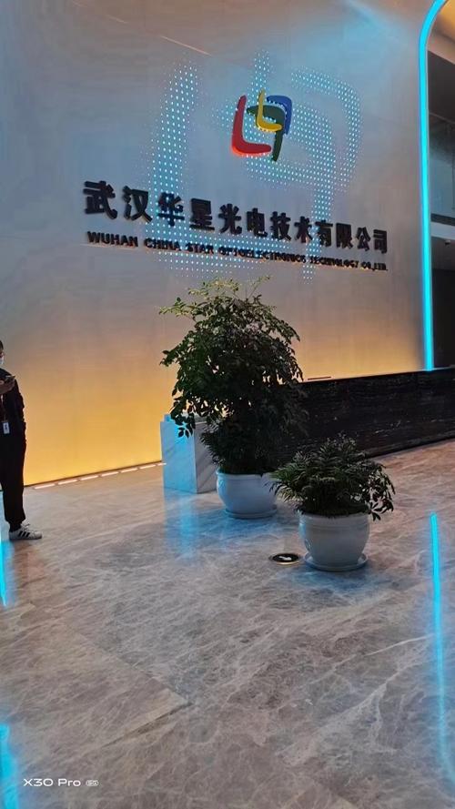 武汉华星光电的服务器地址是什么