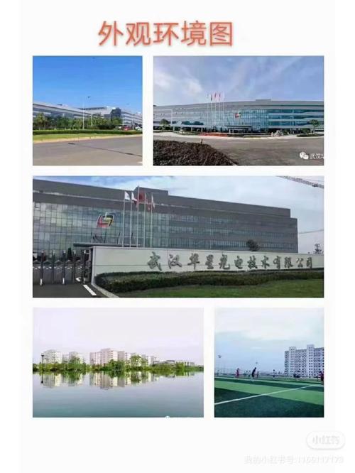 武汉华星光电的服务器地址是什么