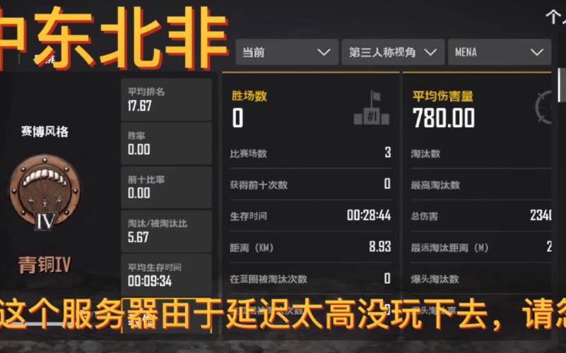 怎么看pubg玩的是什么服务器