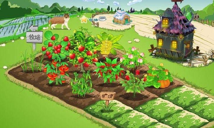 qq农场服务器显示忙是什么原因