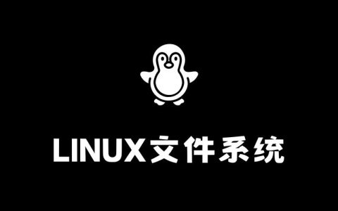 如何在Linux中确定当前服务器的文件系统类型？