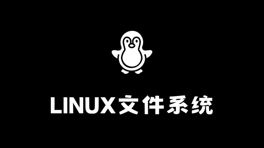 linux查看当前服务器是什么文件系统
