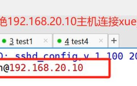 如何解决SSH版本过低导致无法登录服务器主机的问题？
