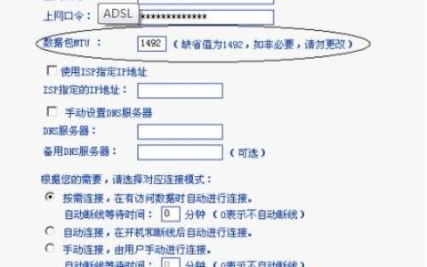 如何确保选择的服务器主机租用服务值得信赖？