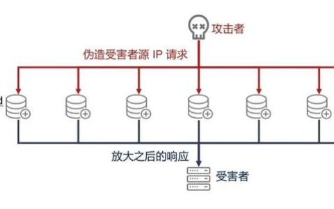 如何有效排查和预防UDP反射放大攻击？