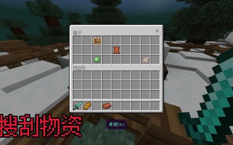 Minecraft服务器ID究竟指代什么？