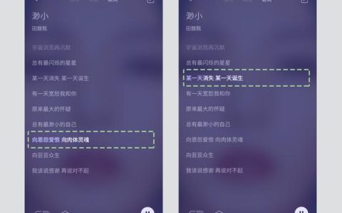 如何找到QQ音乐中的歌词显示？