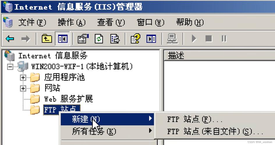 ftp服务器 虚拟主机_FTP