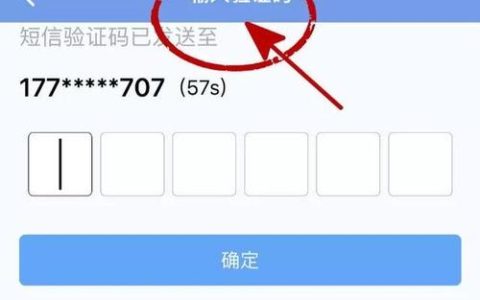 验证码平台如何确保发送的验证码既安全又高效？