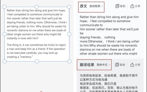 如何准确翻译图片中的文字?