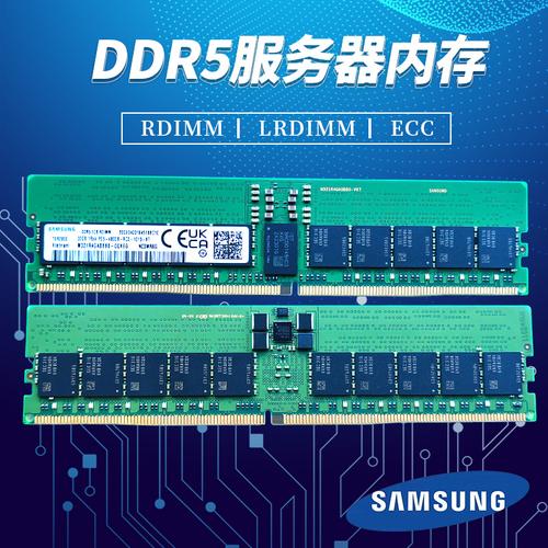 ddr5内存服务器什么时候能用