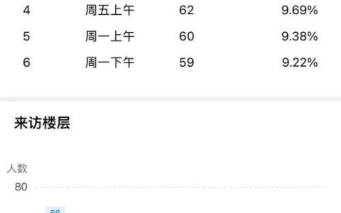 如何有效利用访客数据统计来优化网站流量和用户体验？