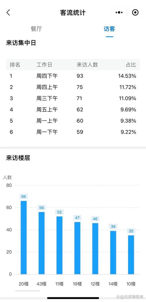访客数据统计_查看访客记录