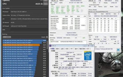 如何选择服务器CPU以优化性能与成本效益？